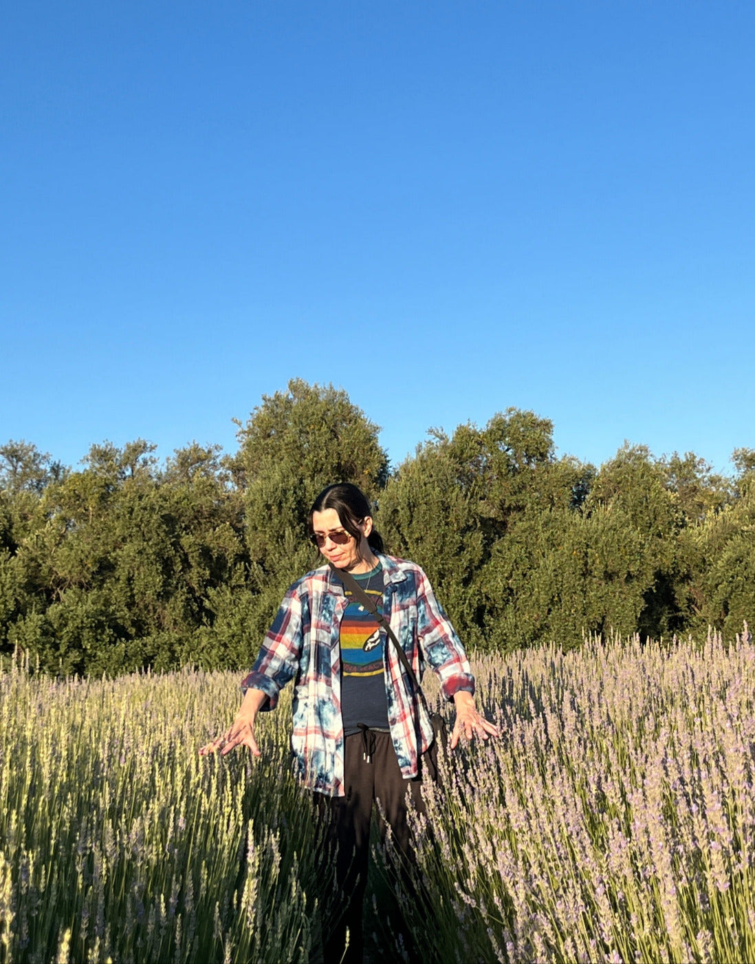 Woman in lavender field and sky.